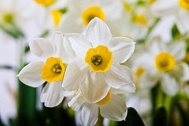 Xbox喜加一：《地铁2033重制版》免费领